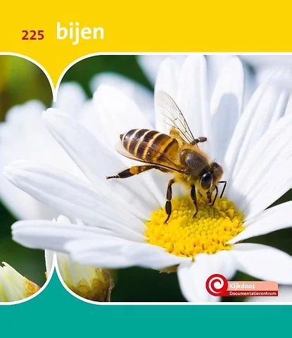 No Image Available