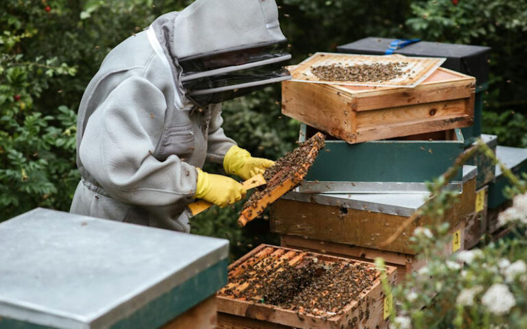 Bezoek ons tijdens de landelijke Imkerijdagen