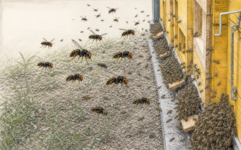 Afbeelding met AI gegenereerd gebaseerd op werkelijke foto